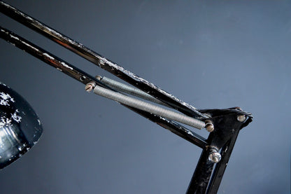 Herbert Terry Model 1273A anglepoise lamp
