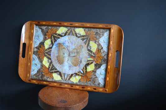 Art Deco Butterfly wing tray (Circa 1940s)