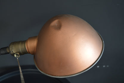 1930s Leviton Gooseneck Lamp