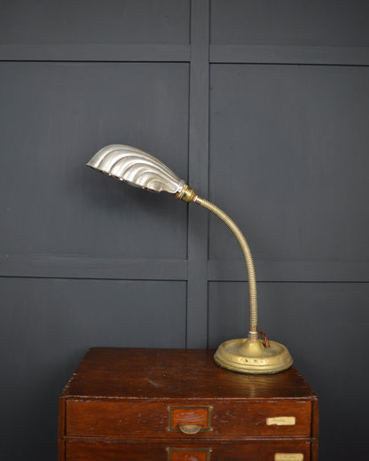 Brass gooseneck lamp