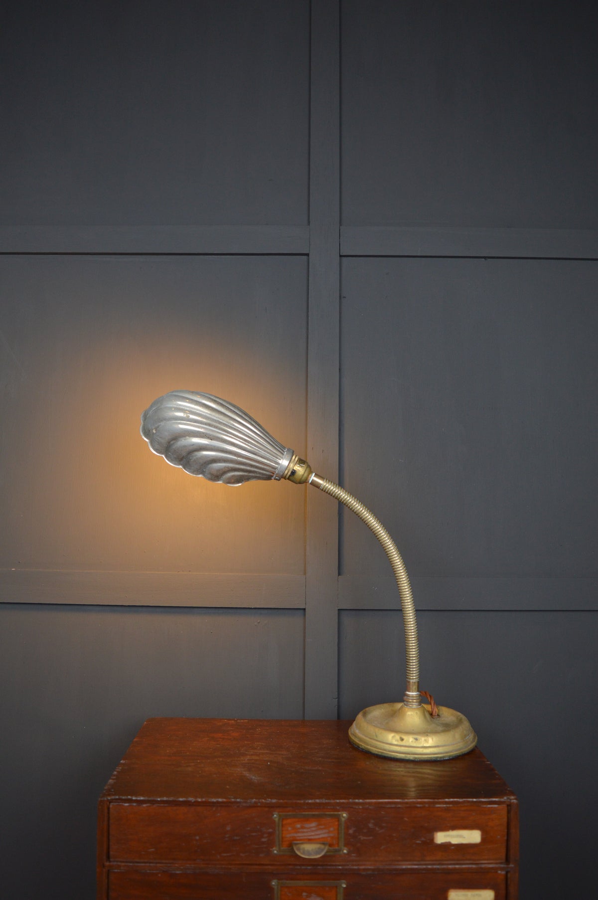 Brass gooseneck lamp