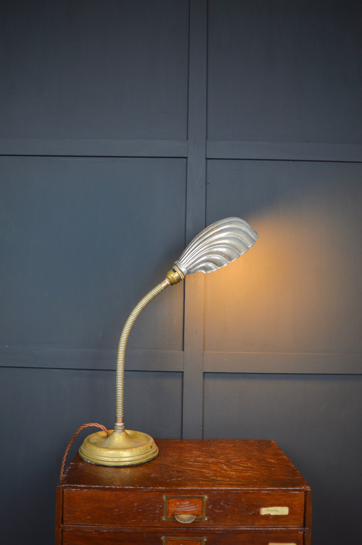 Brass gooseneck lamp