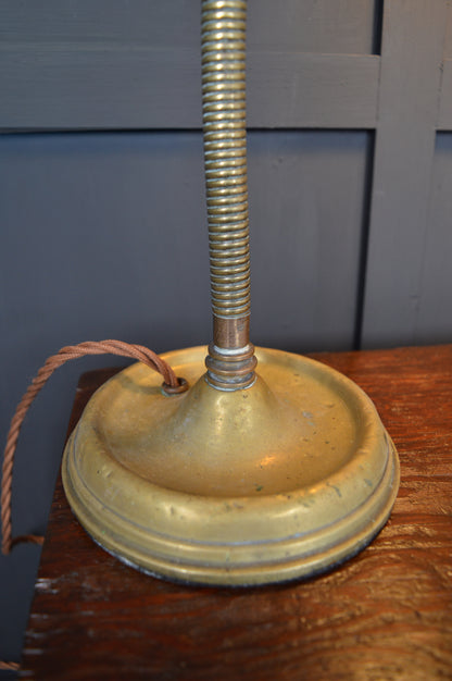 Brass gooseneck lamp