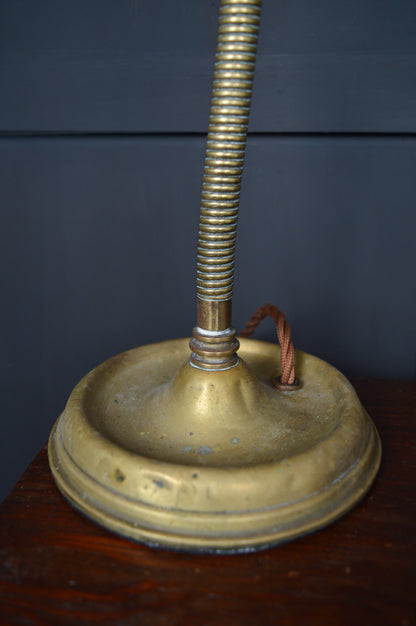 Brass gooseneck lamp