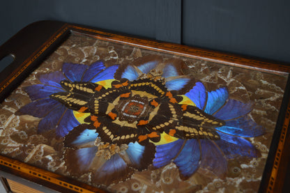 Brazilian Art Deco butterfly tray