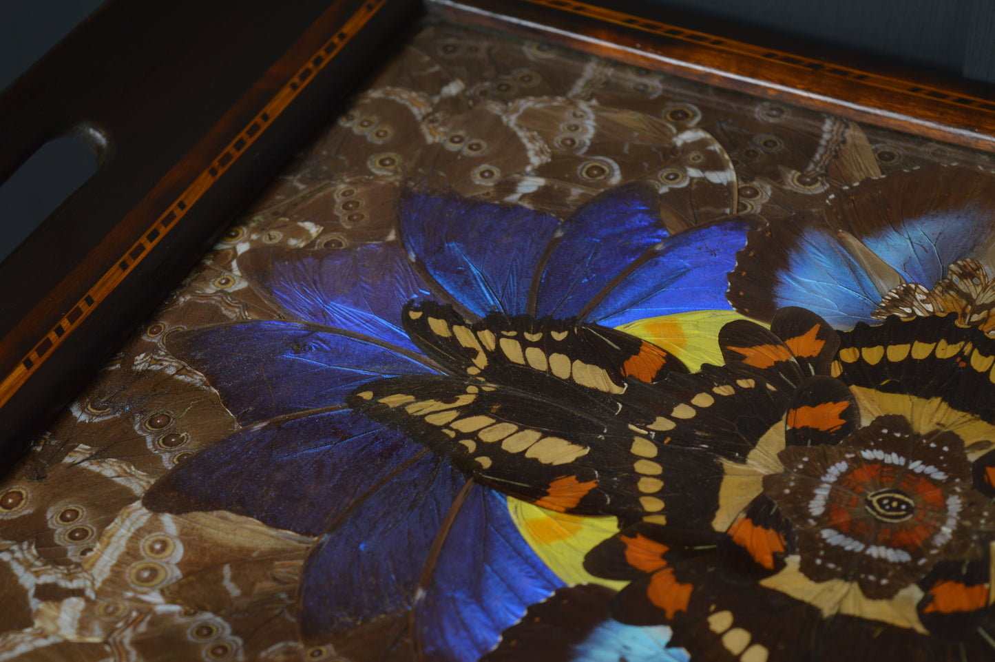 Brazilian Art Deco butterfly tray