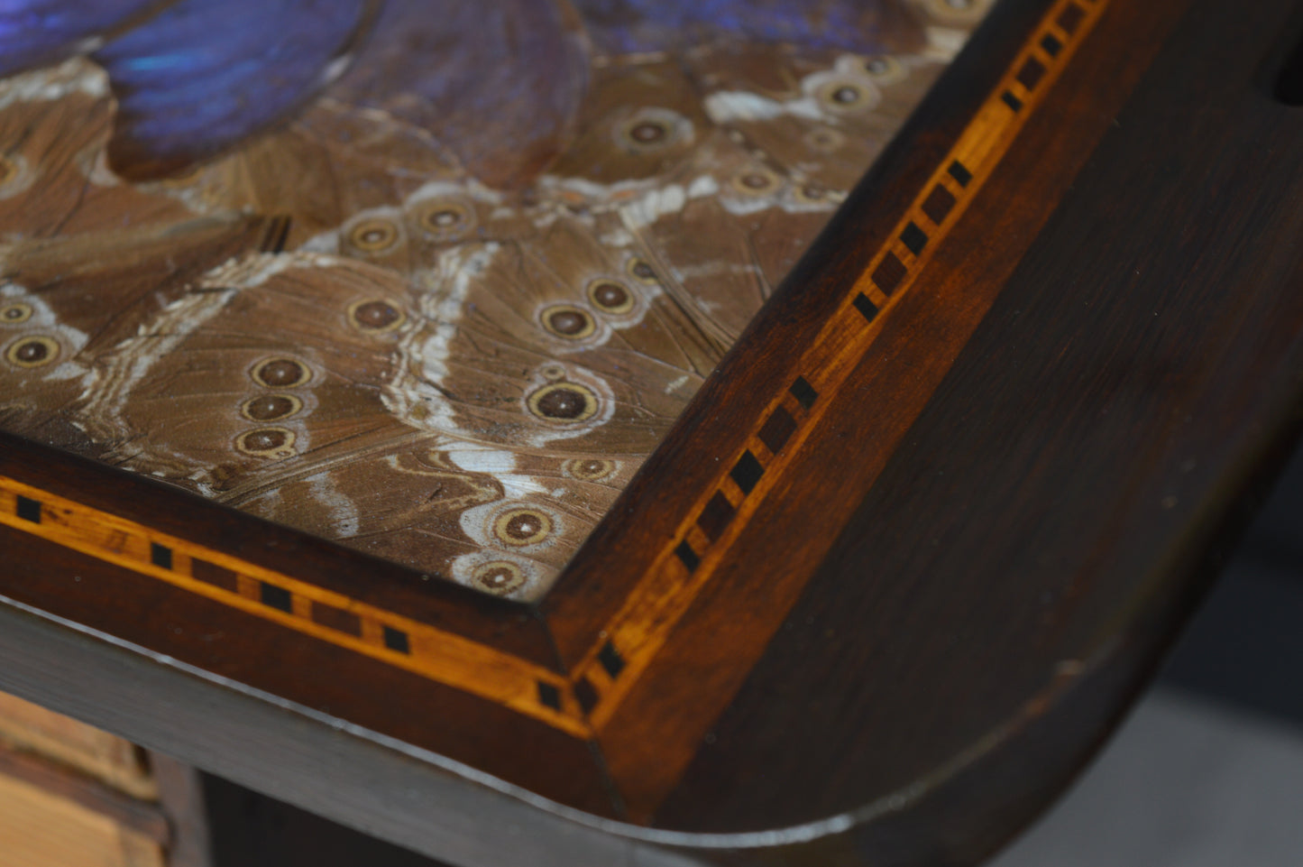 Brazilian Art Deco butterfly tray