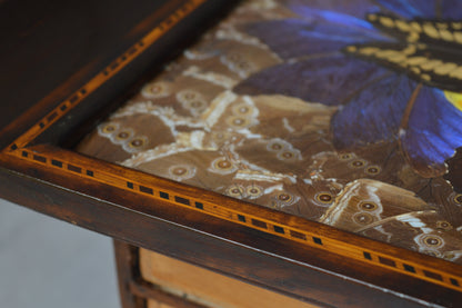 Brazilian Art Deco butterfly tray