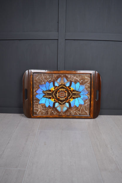 Brazilian Art Deco butterfly tray