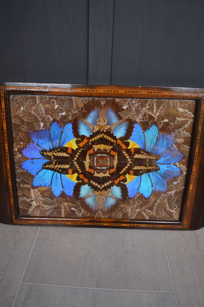 Brazilian Art Deco butterfly tray