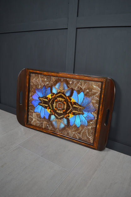 Brazilian Art Deco butterfly tray