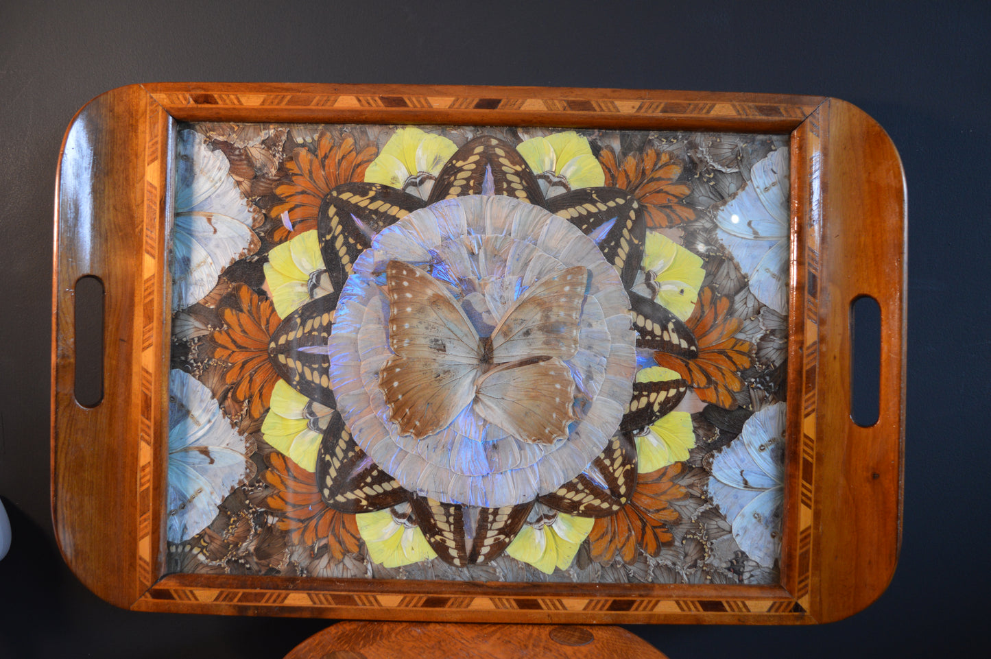 Art Deco
Taxidermy
Butterfly
Butterfly wing
Tray
Art
Marquetry