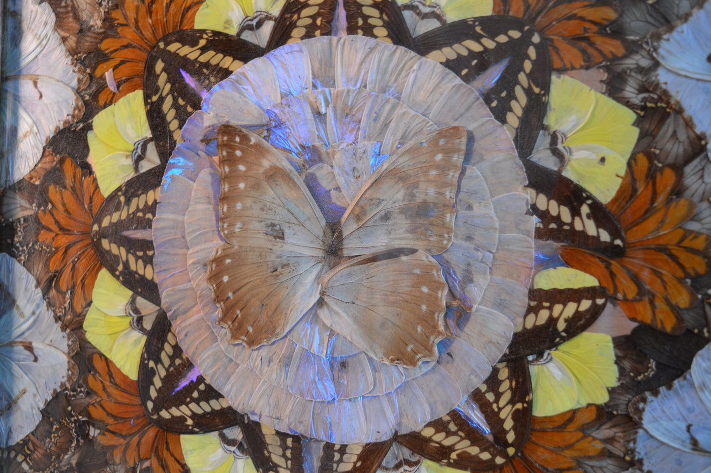 Art Deco Butterfly wing tray (Circa 1940s)