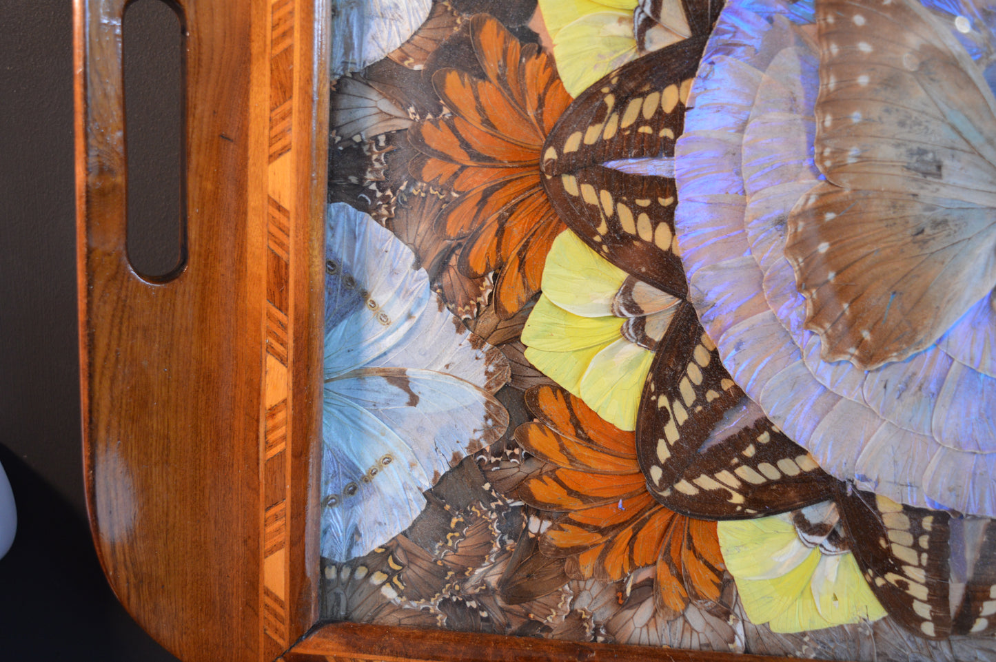 Art Deco Butterfly wing tray (Circa 1940s)