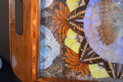 Art Deco Butterfly wing tray (Circa 1940s)