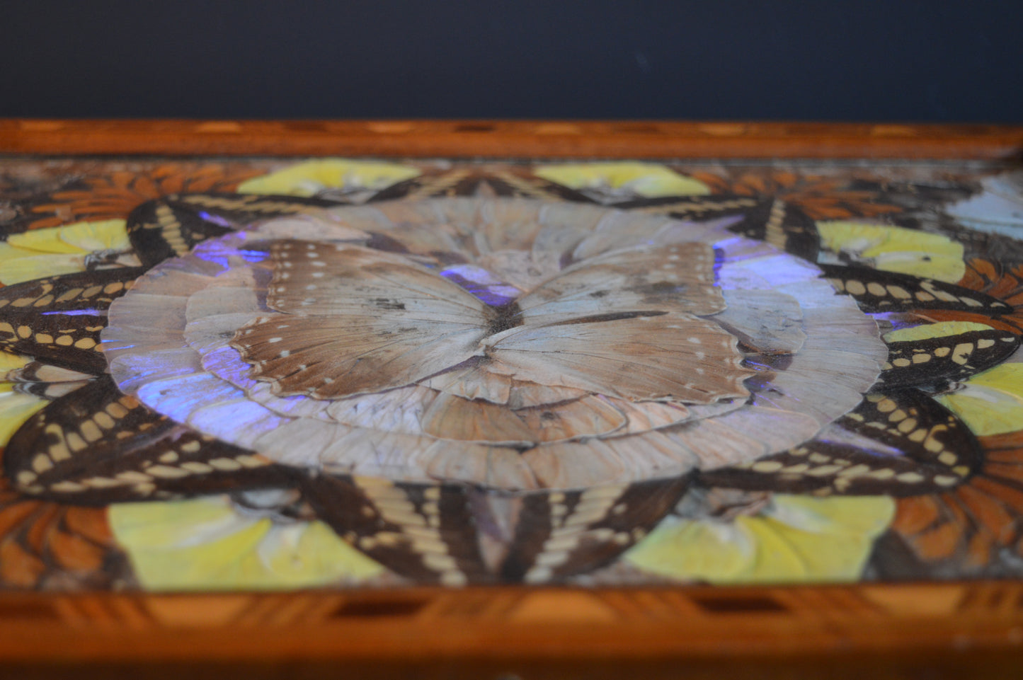 Art Deco Butterfly wing tray (Circa 1940s)