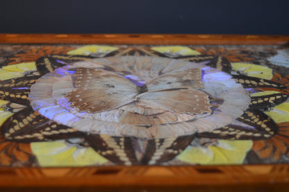 Art Deco Butterfly wing tray (Circa 1940s)